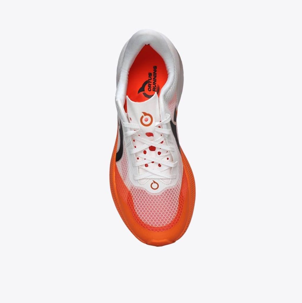 image_BC3152DD-5320-45B9-8113-C6D1B9C465BA_1772517496