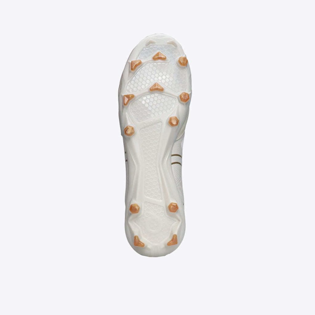 ORTUSEIGHT FORTE NEXUS5