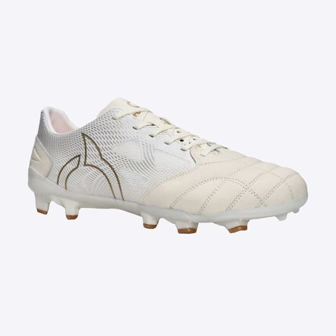 ORTUSEIGHT FORTE NEXUS2