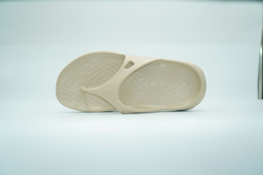 image_F9555AFB-4998-41B0-A767-7854A15CDDC0_1764399692