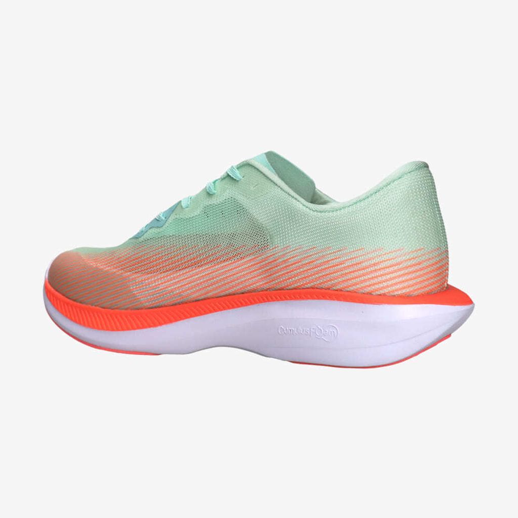 image_531D7F91-C367-4B12-9923-A45DF93919F1_1767003869