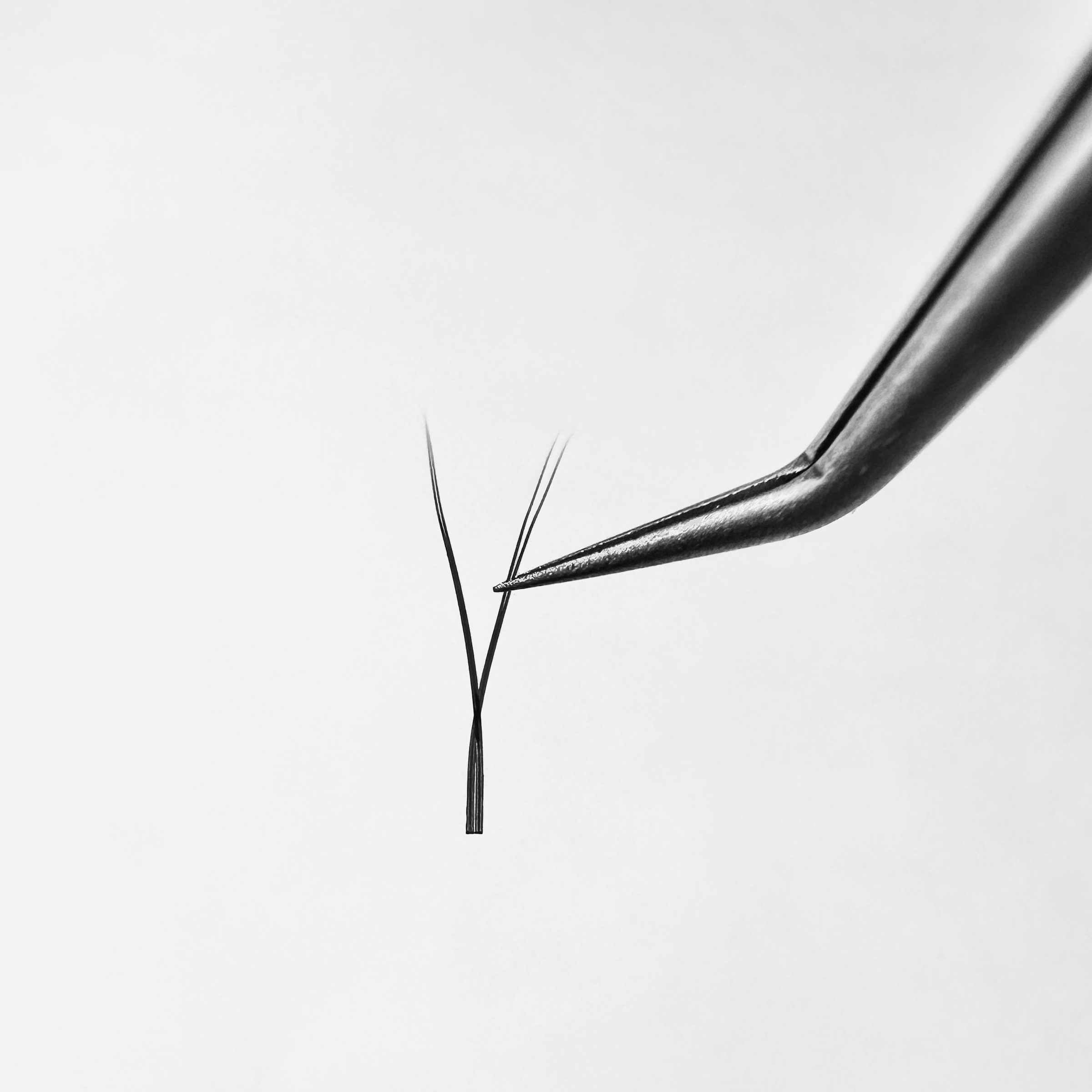 image_015DDBC6-D60C-4750-B2DA-A0F0FBE21840_1774318219