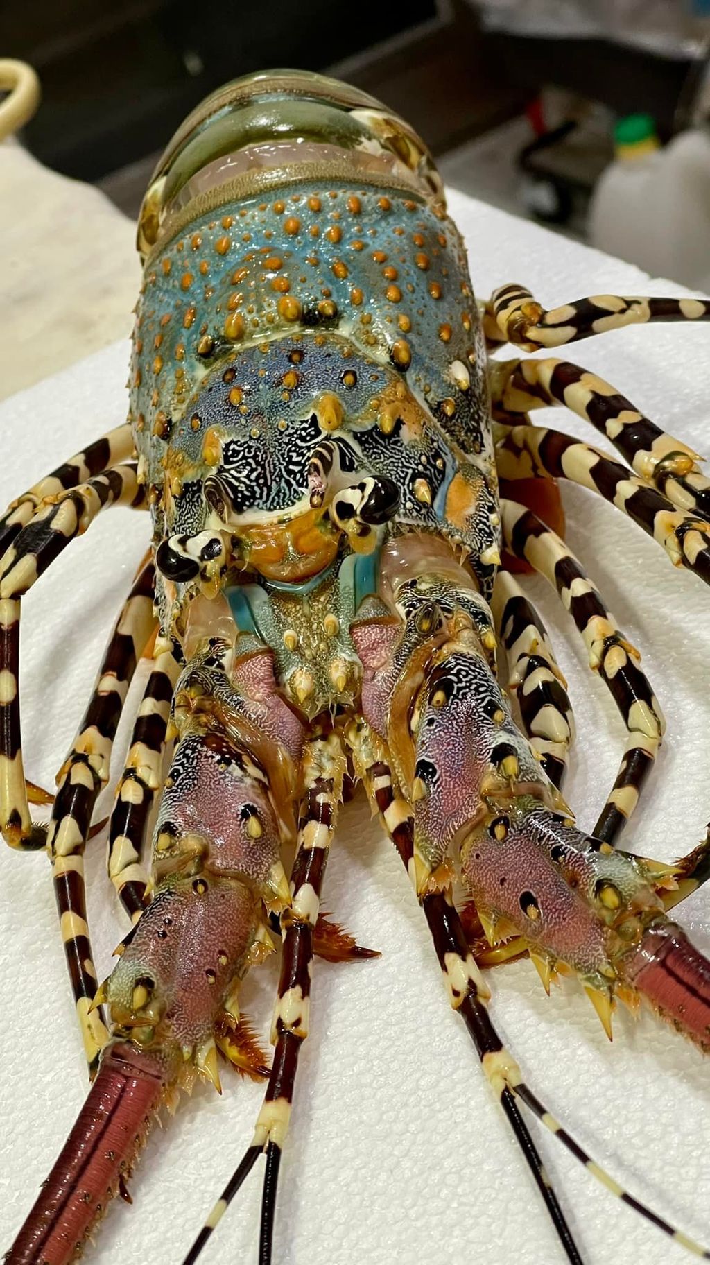 288638307_5613730398639939_4287099891047215508_n