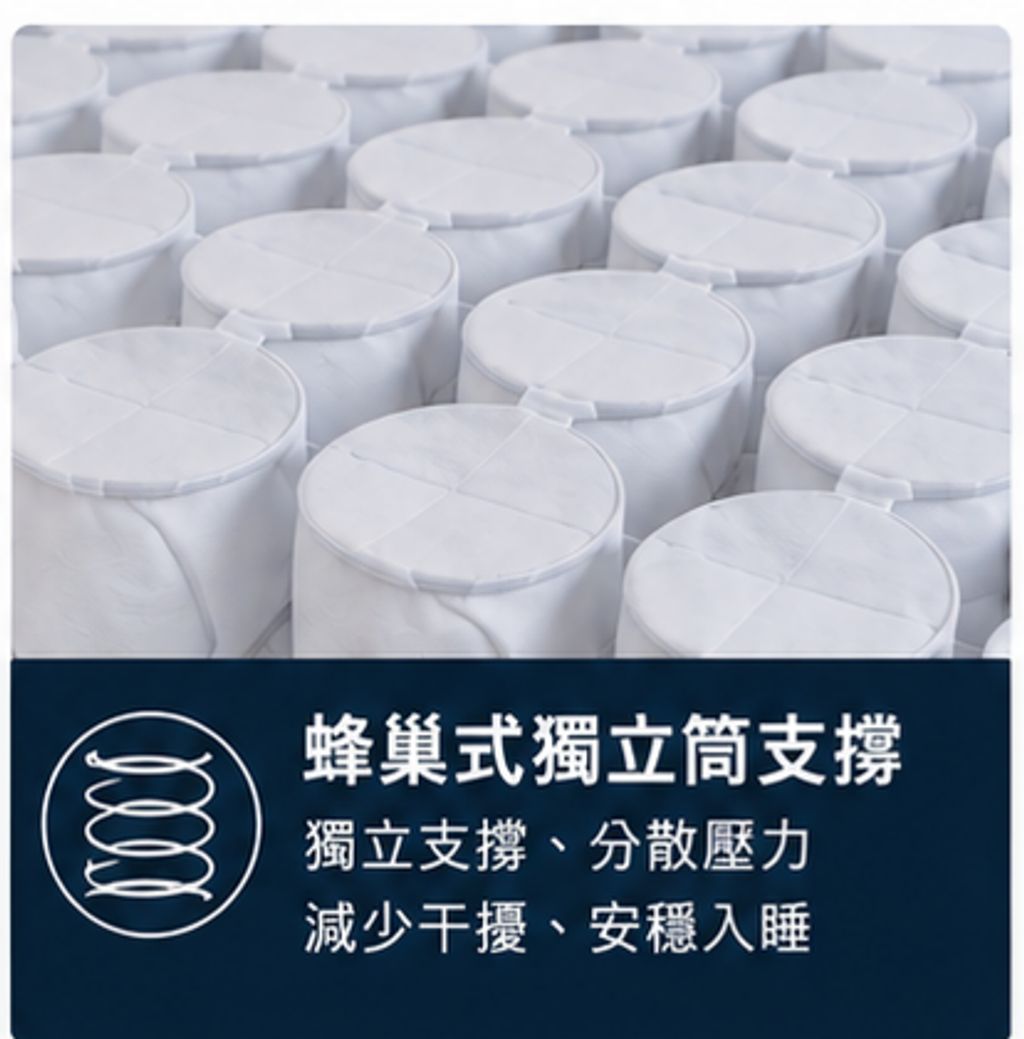 海洋之星 (12)
