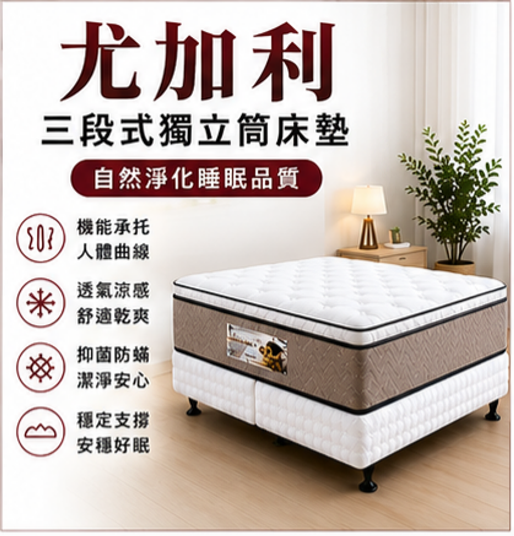 尤加利 (11)