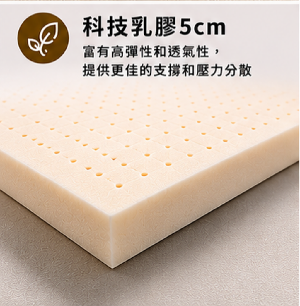 黑精靈 (12)