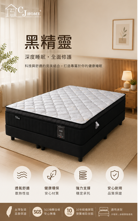 黑精靈 (15)