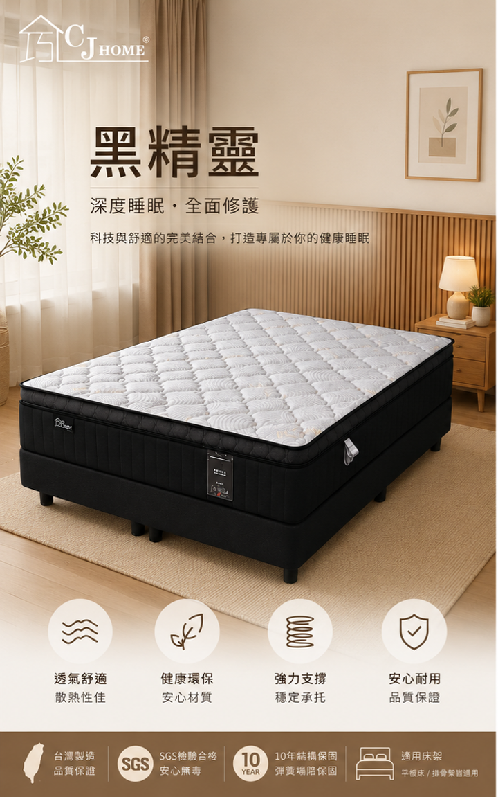 黑精靈 (15)