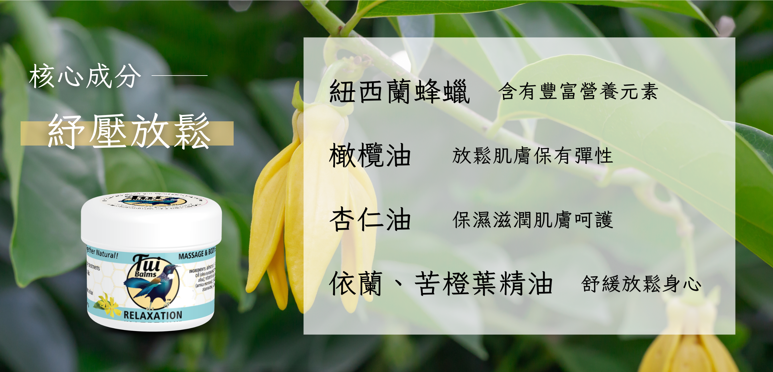 40g長圖 (1000 x 481 像素)-Coupang (1350 x 650 像素) (31)