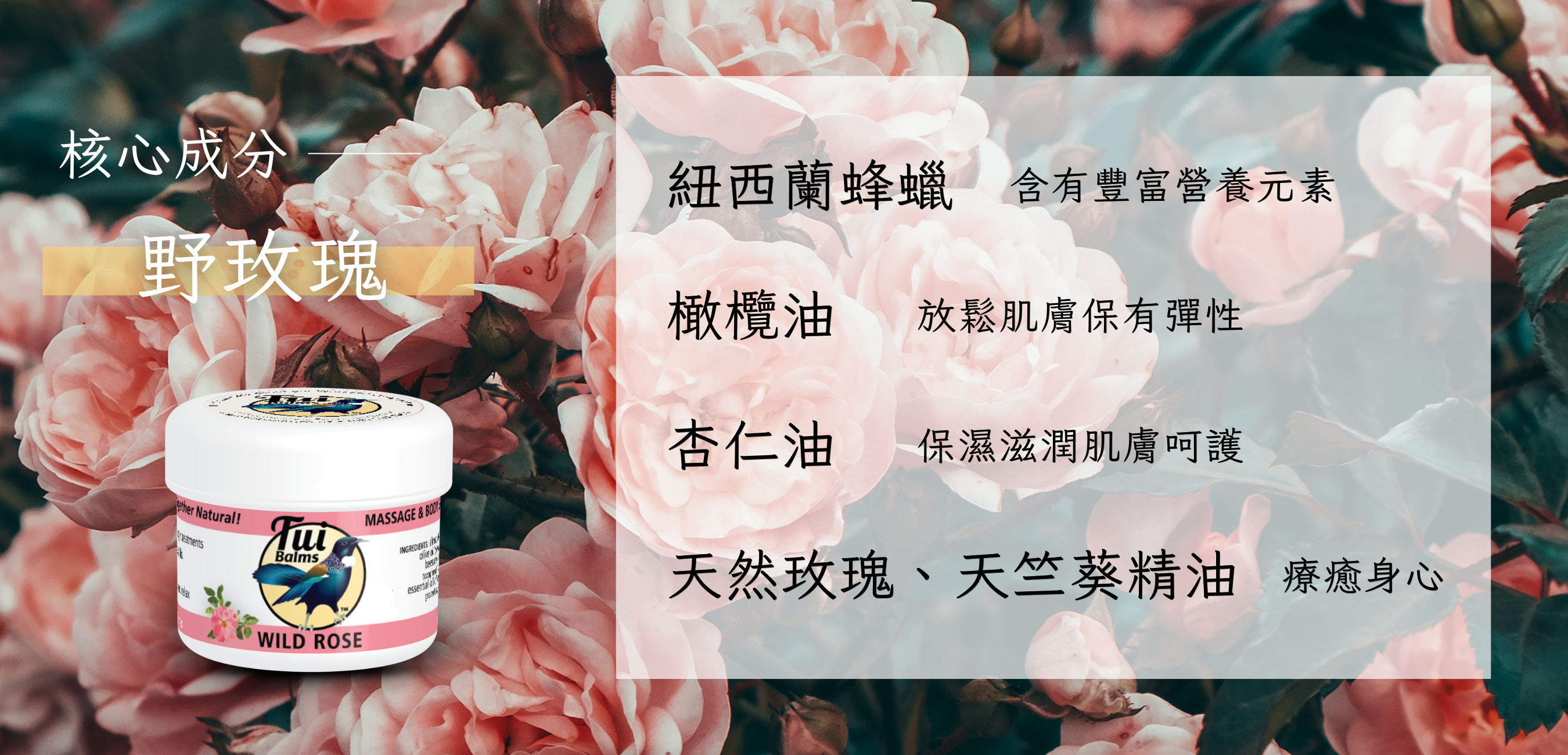40g長圖 (1000 x 481 像素)-Coupang (1350 x 650 像素) (1000 x 481 像素) (1350 x 650 像素) (50)