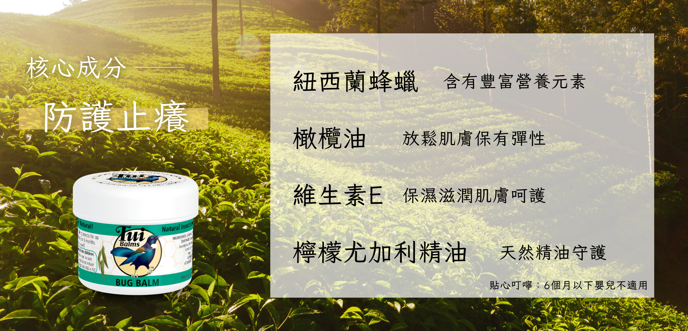40g長圖 (1000 x 481 像素)-Coupang (1350 x 650 像素) (1000 x 481 像素) (1350 x 650 像素) - 2025-05-14T162701.852