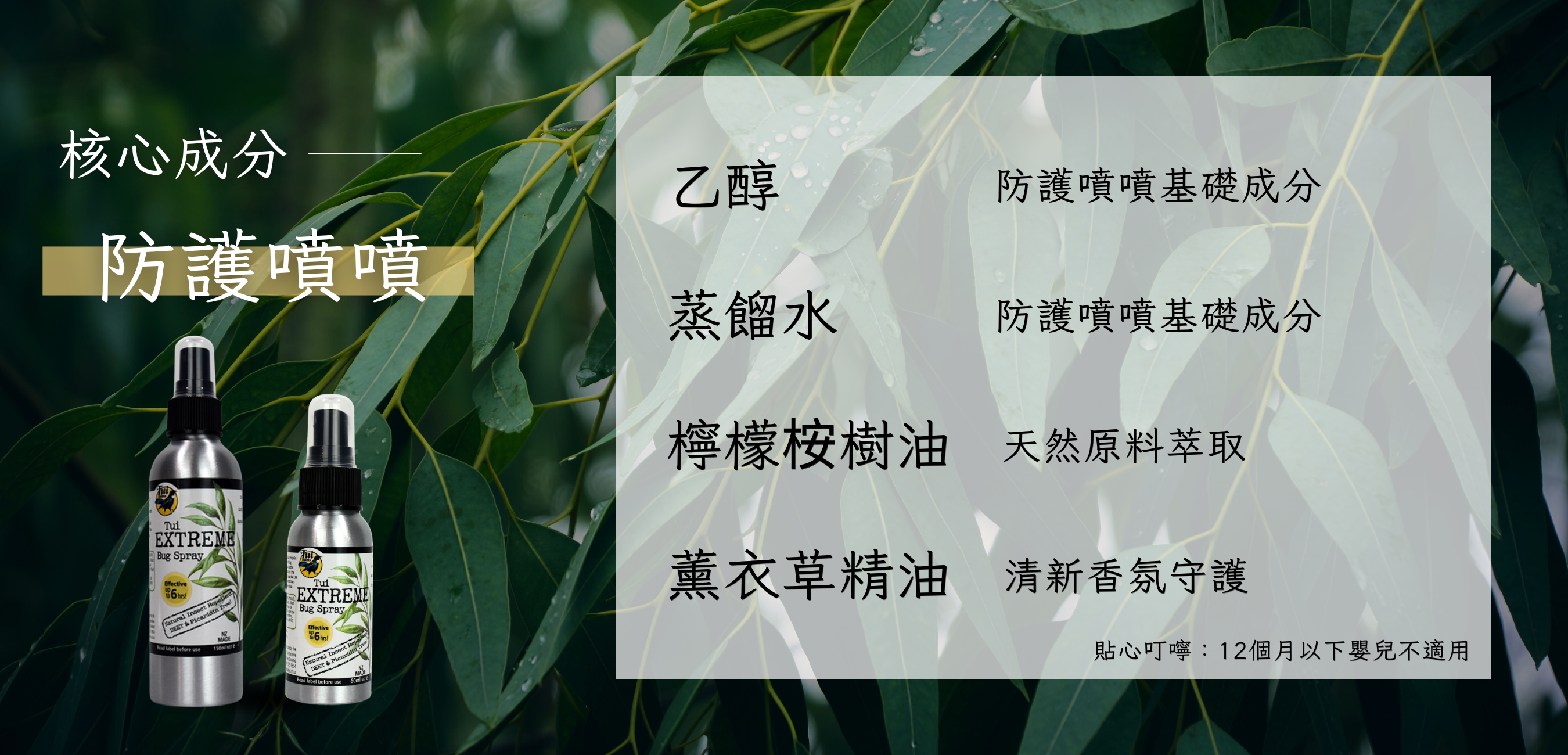 40g長圖 (1000 x 481 像素)-Coupang (1350 x 650 像素) (1000 x 481 像素) (1350 x 650 像素) - 2025-05-14T162709.346