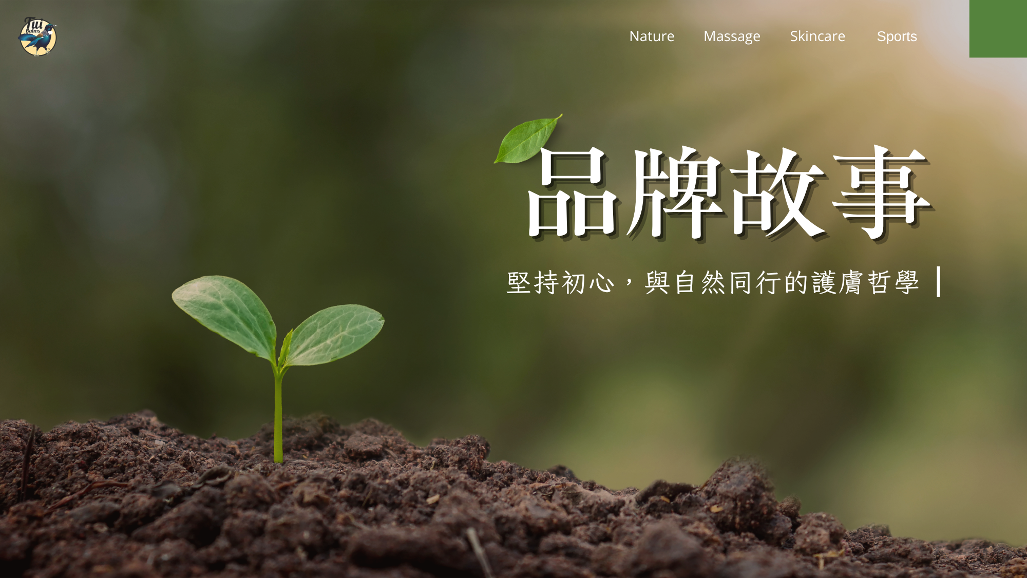 Tui官網 (81)