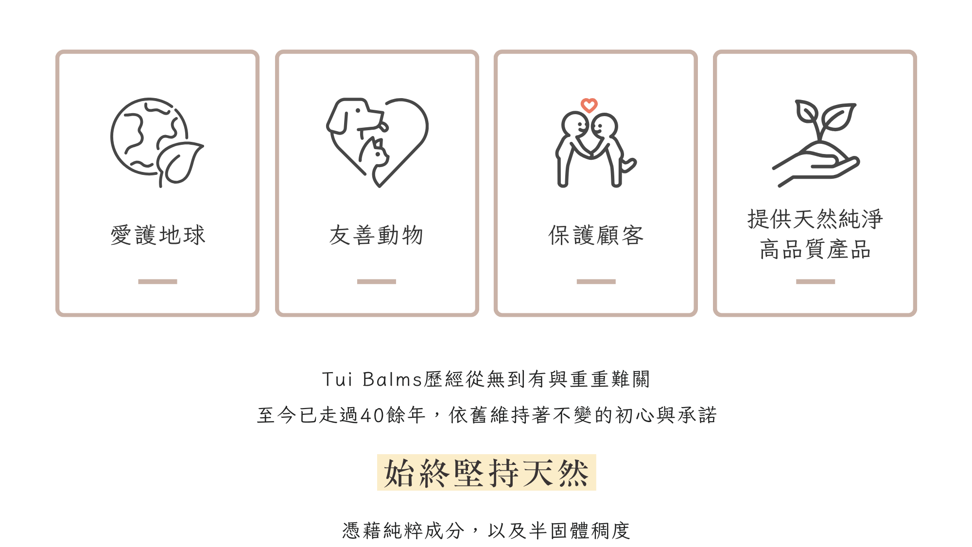 Tui官網 - 2025-07-09T152045.889
