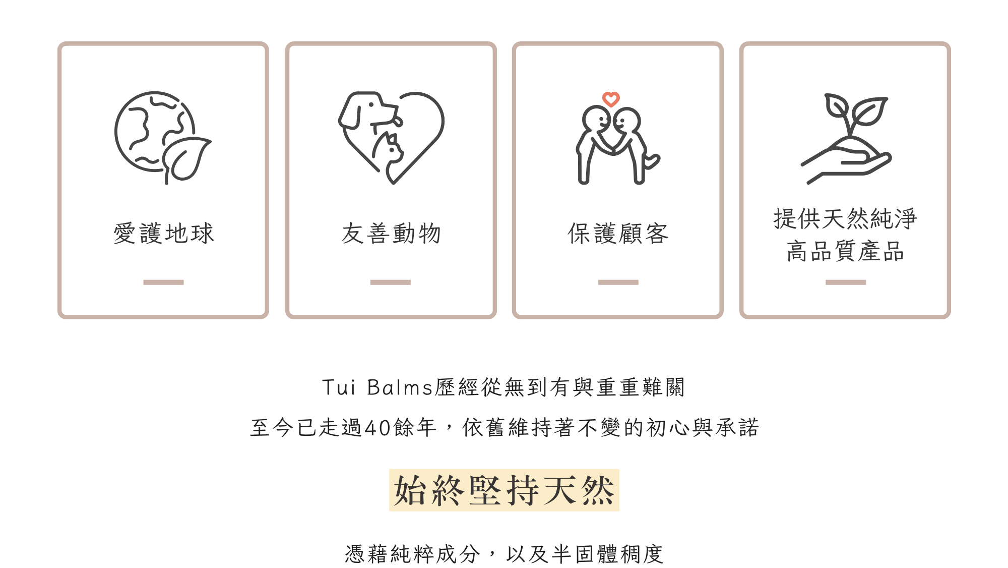 Tui官網 - 2025-07-23T134724.371