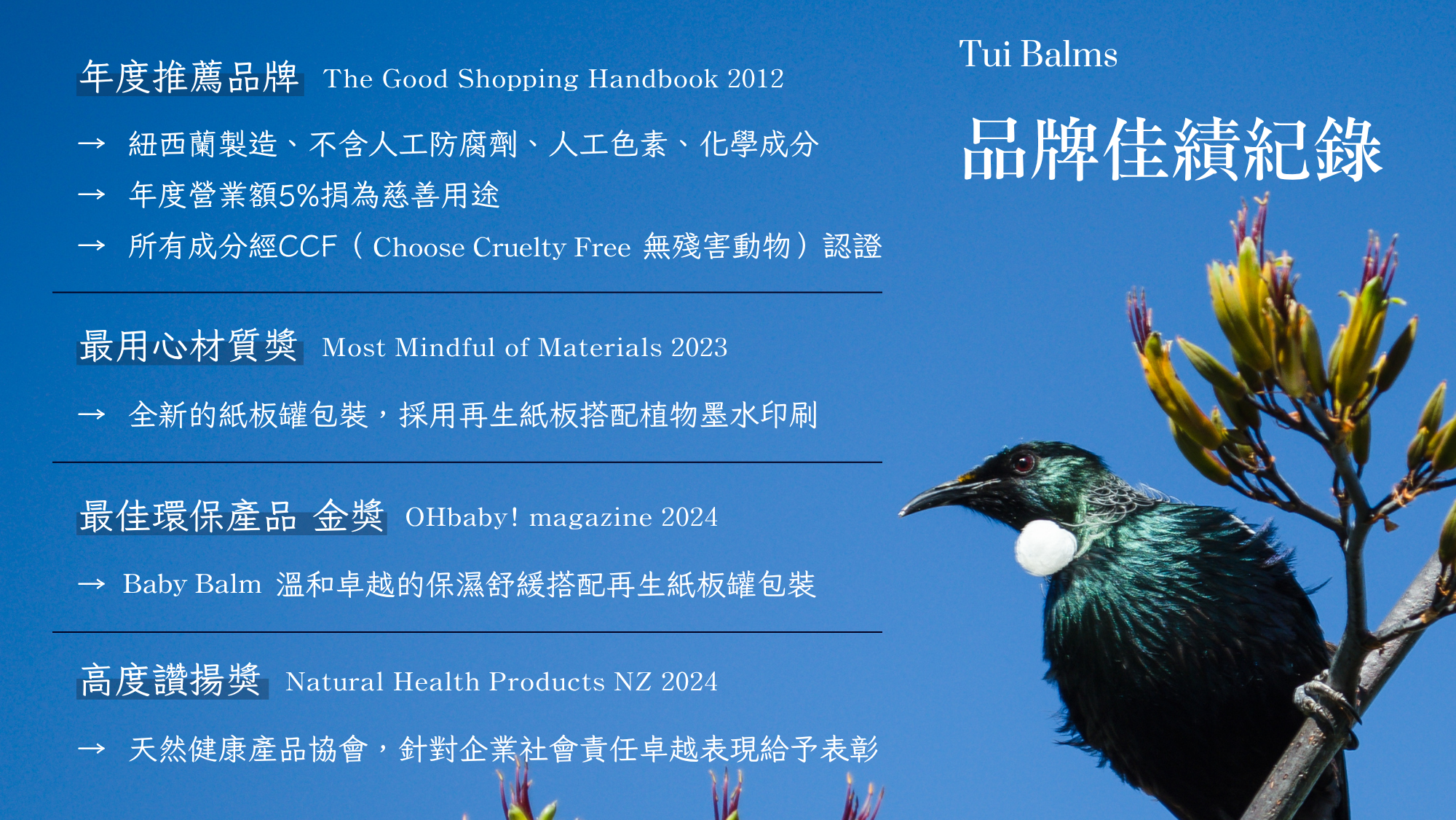 Tui官網 - 2025-07-23T171931.587