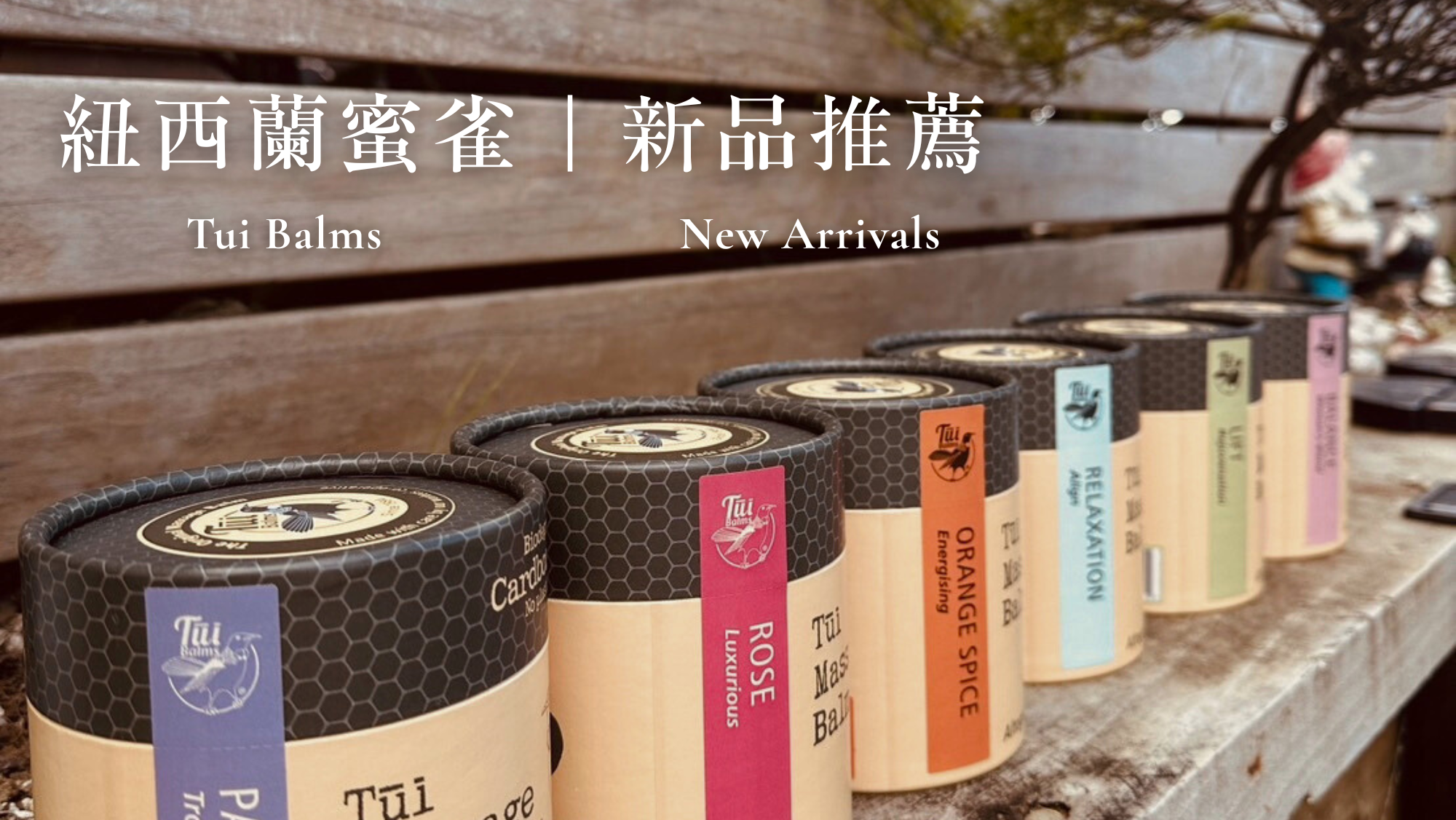 Tui 官網 II (6)