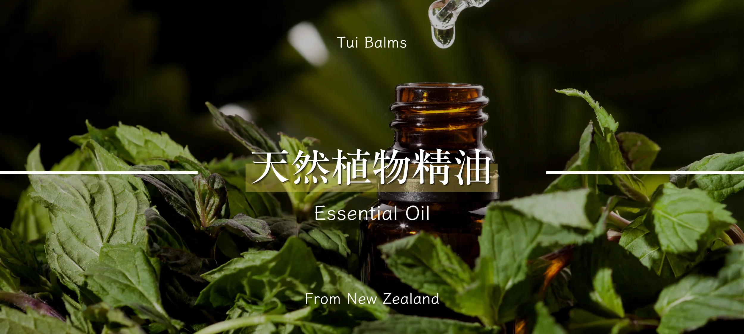  | Tuibalms
