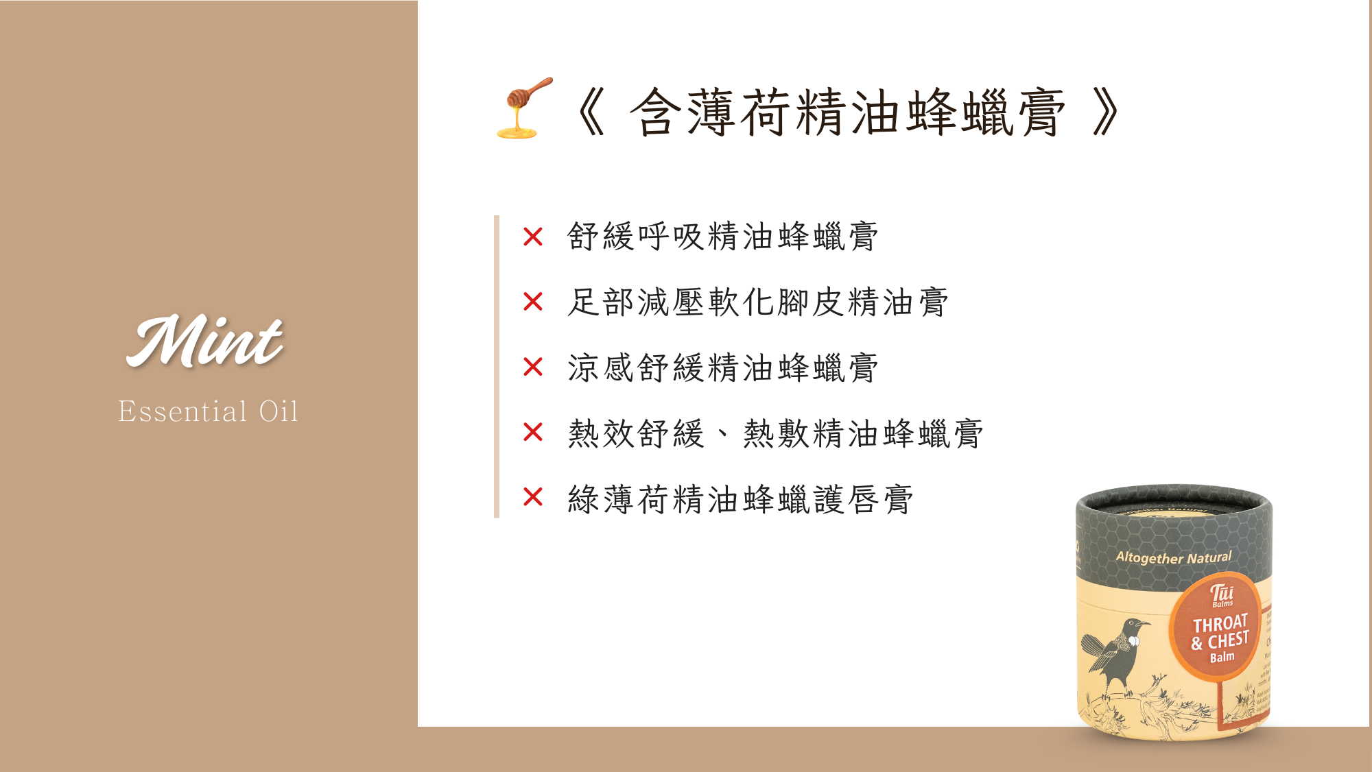 Tui 官網 II (94)