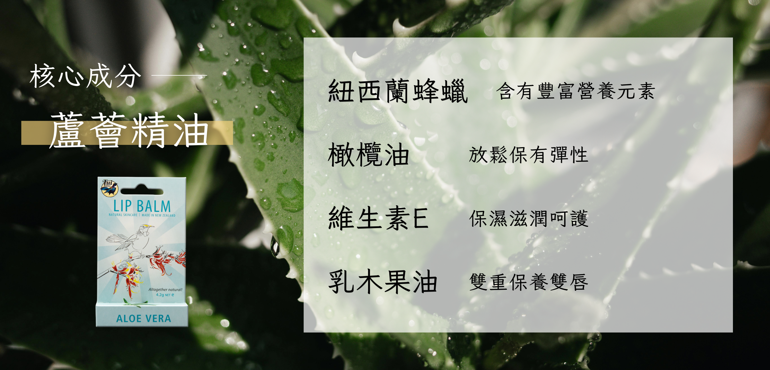 40g長圖 (1000 x 481 像素)-Coupang (1350 x 650 像素) (1000 x 481 像素) (1350 x 650 像素) (1000 x 481 像素) (1350 x 650 像素) (19)