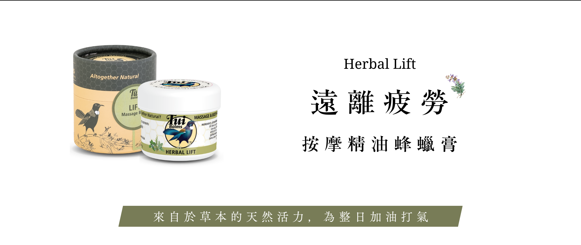 Tui全新包裝四大優點+商品使用介紹 (46)