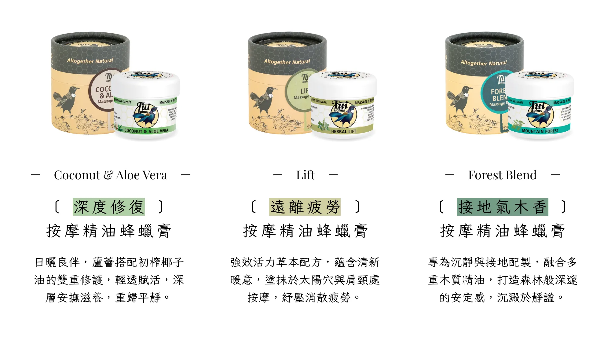 Tui 官網 II - 2025-09-12T135843.273