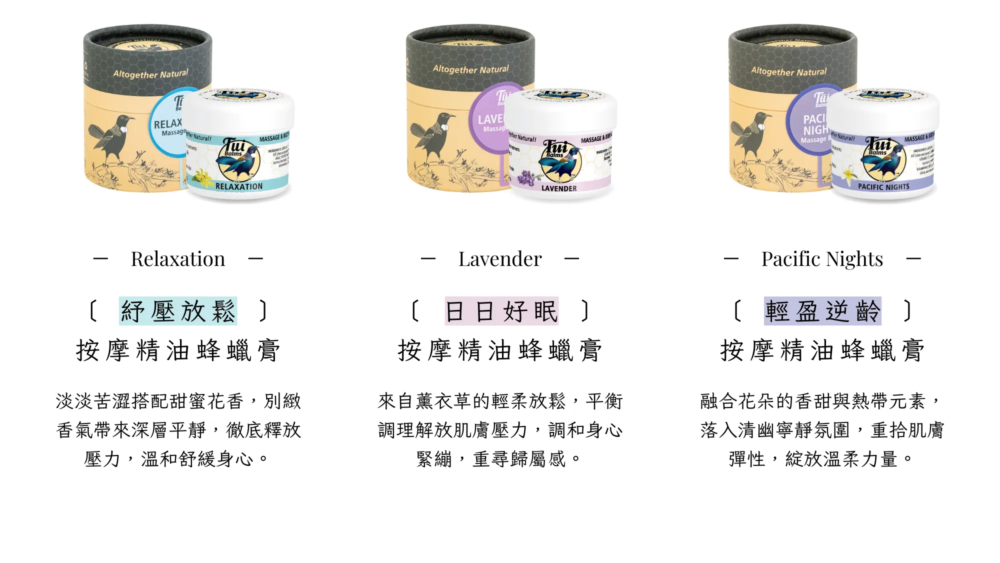 Tui 官網 II - 2025-09-12T135914.280