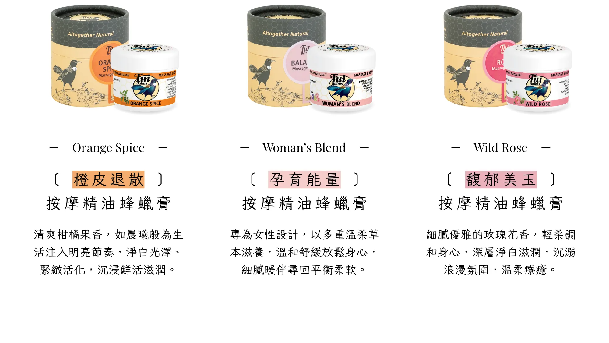 Tui 官網 II - 2025-09-12T135929.640