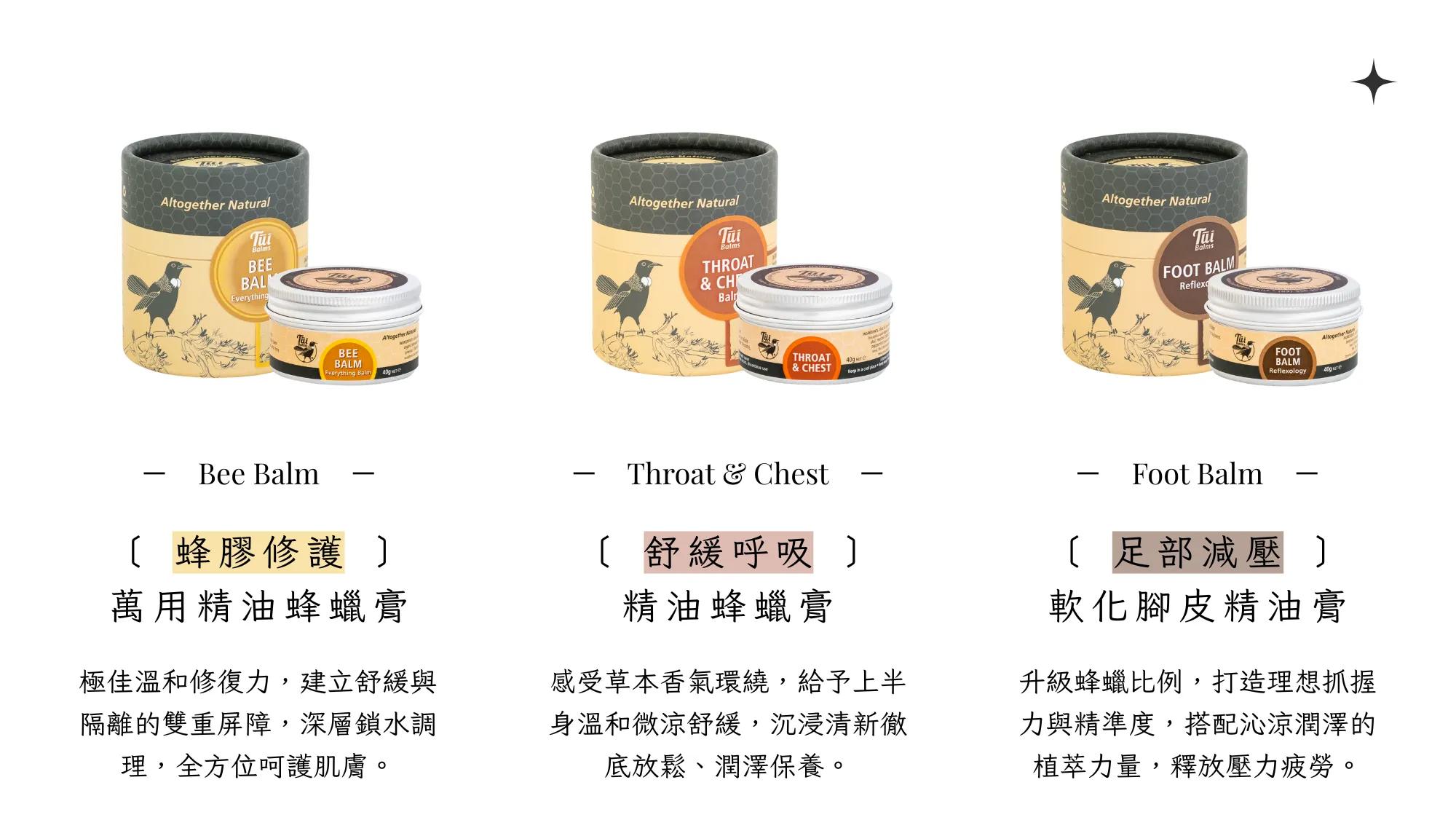 Tui 官網 II - 2025-08-18T173701.362