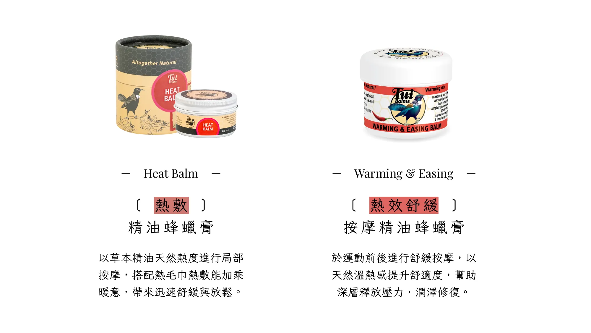 Tui 官網 II - 2025-08-20T173304.671