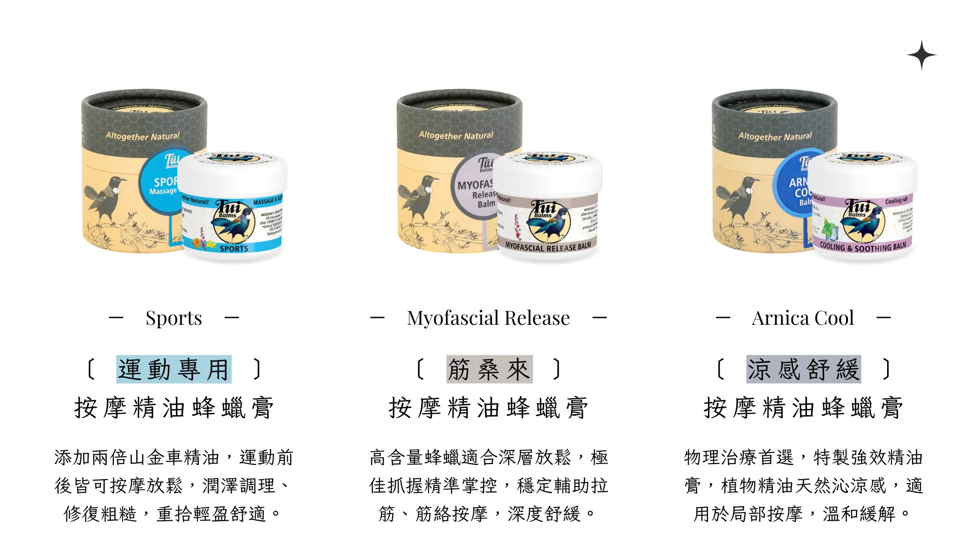 Tui 官網 II - 2025-09-12T140038.748