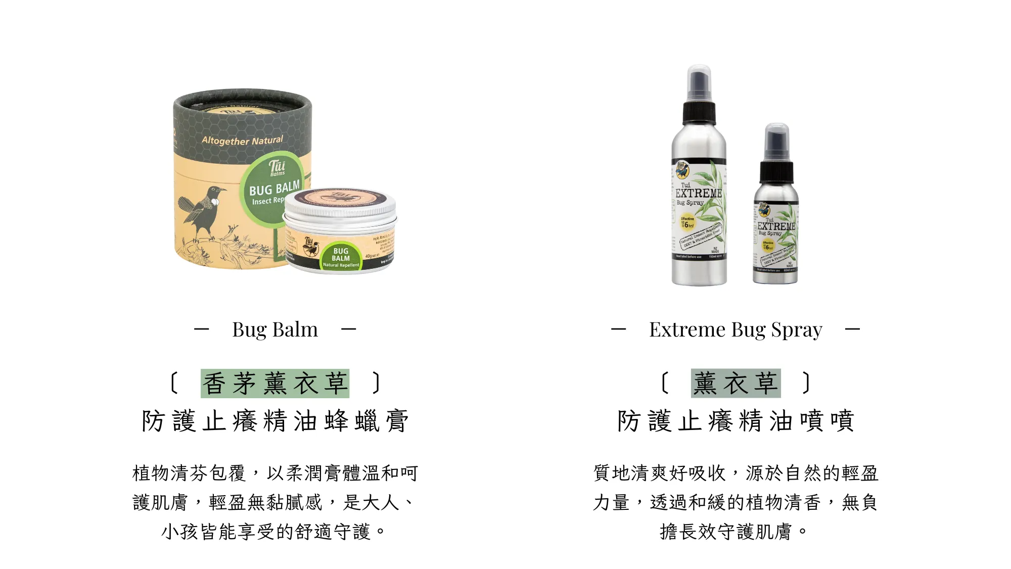 Tui 官網 II - 2025-08-20T173235.659