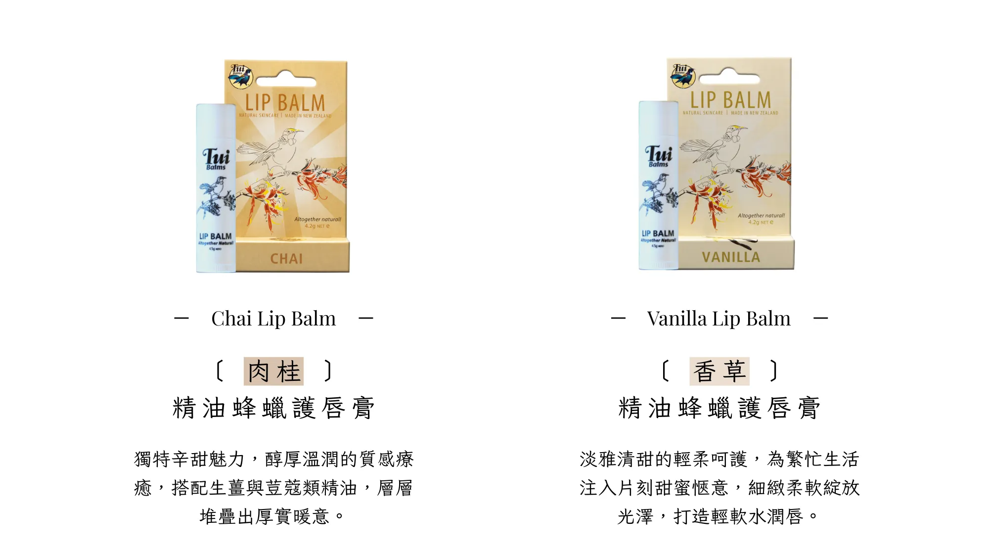 Tui 官網 II - 2025-08-20T173145.720