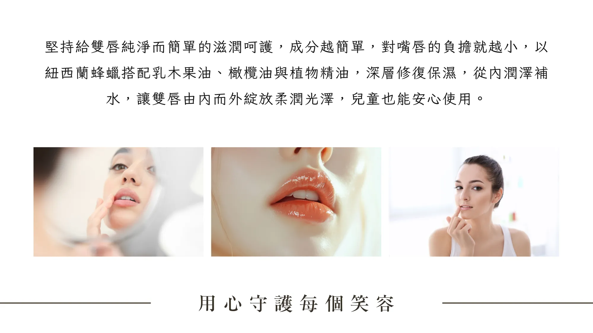 Tui 官網 II - 2025-08-15T161348.166