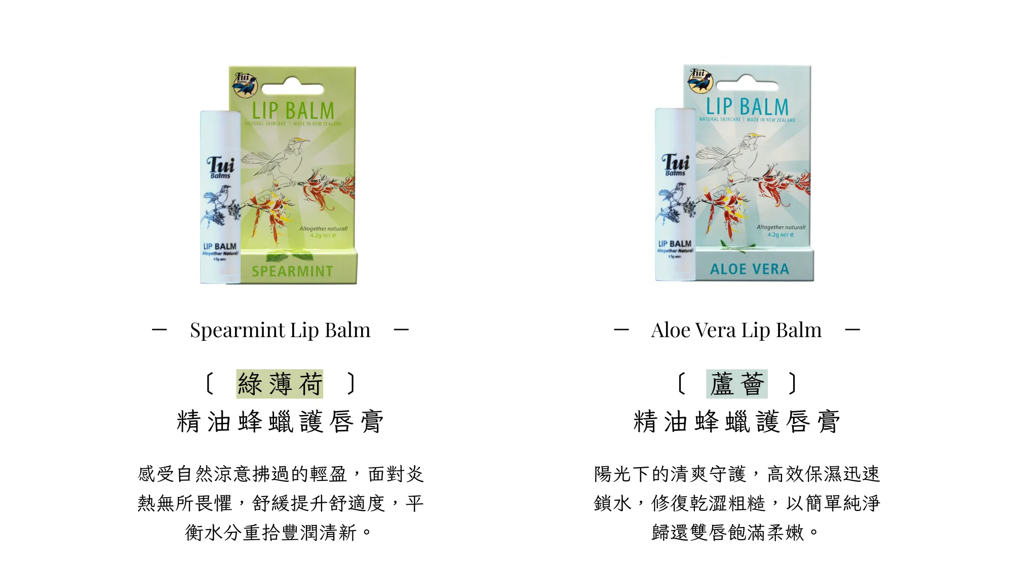 Tui 官網 II - 2025-08-20T173147.109