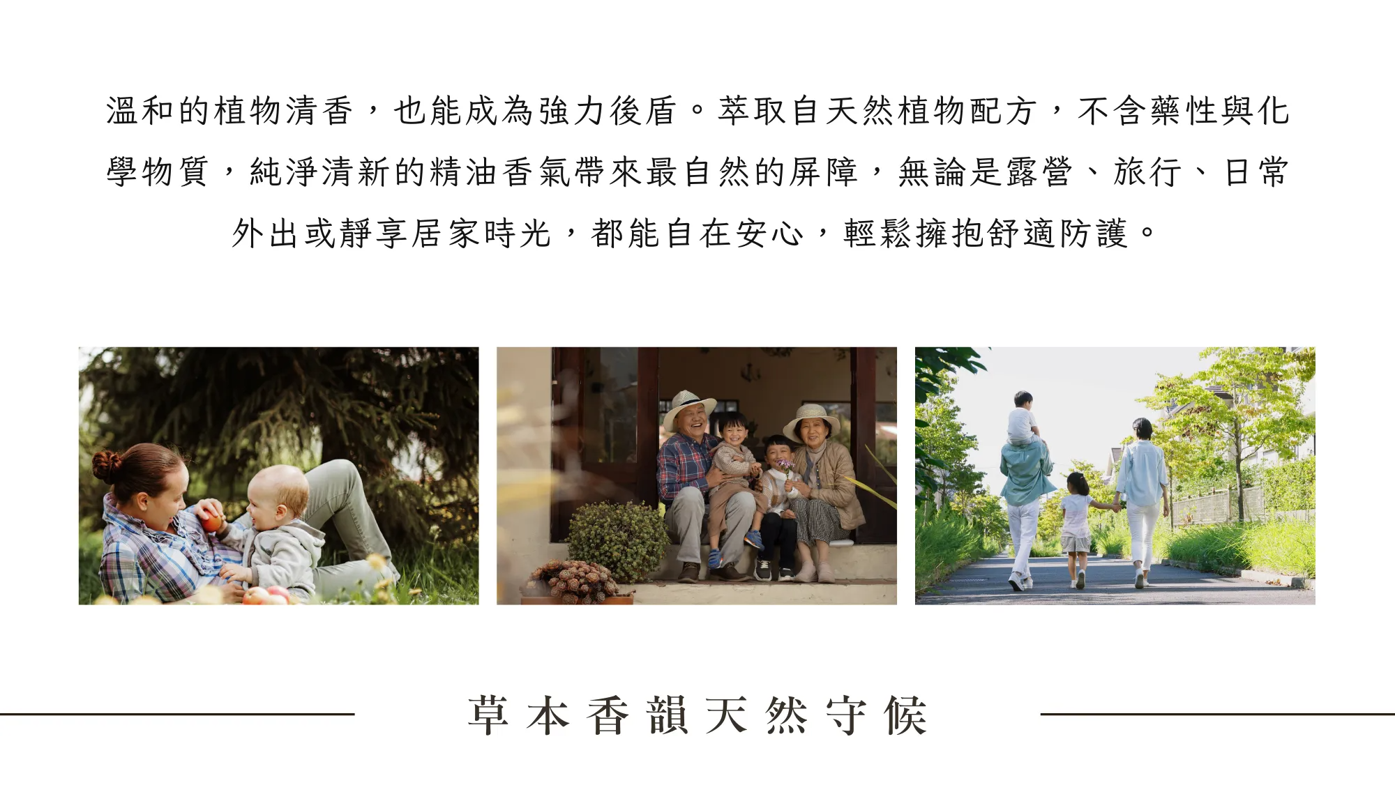 Tui 官網 II - 2025-08-15T170058.485