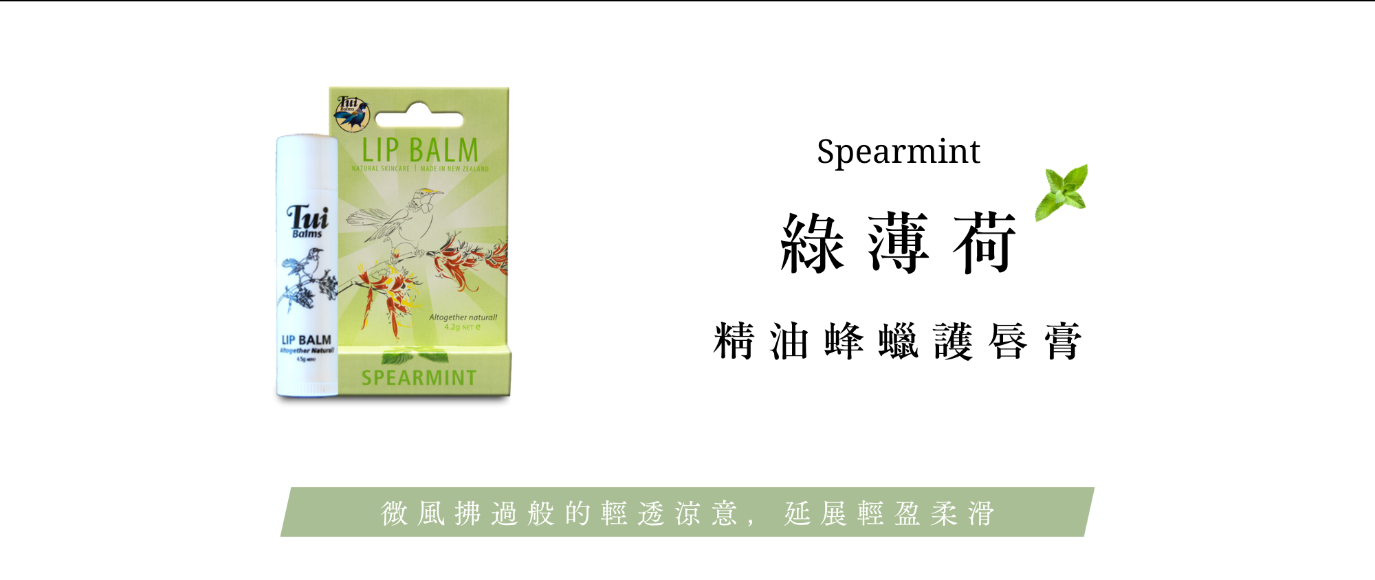 Tui全新包裝四大優點+商品使用介紹 - 2025-11-26T152637.320