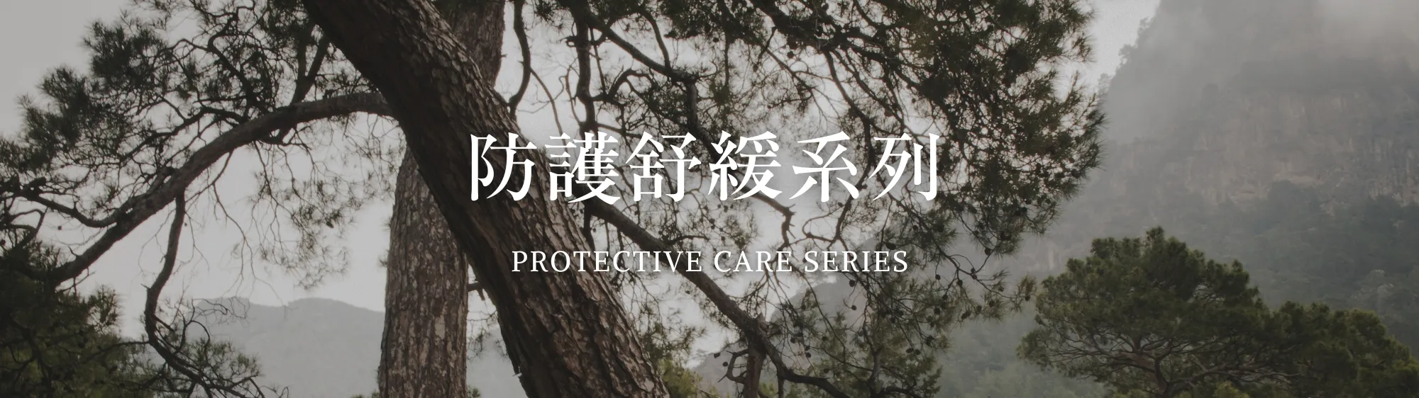 未命名 (1000 x 281 像素) (60)