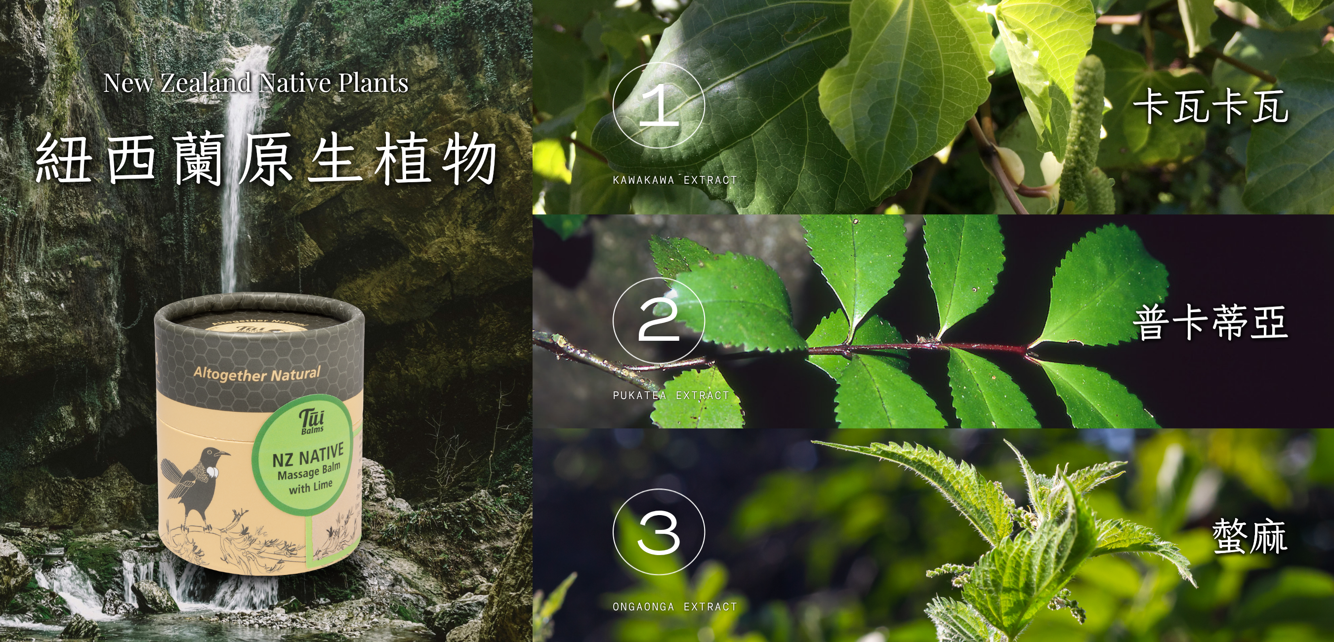 40g長圖 (1000 x 481 像素)-Coupang (1350 x 650 像素) (1000 x 481 像素) (1350 x 650 像素) (1000 x 481 像素) (1350 x 650 像素) (79)