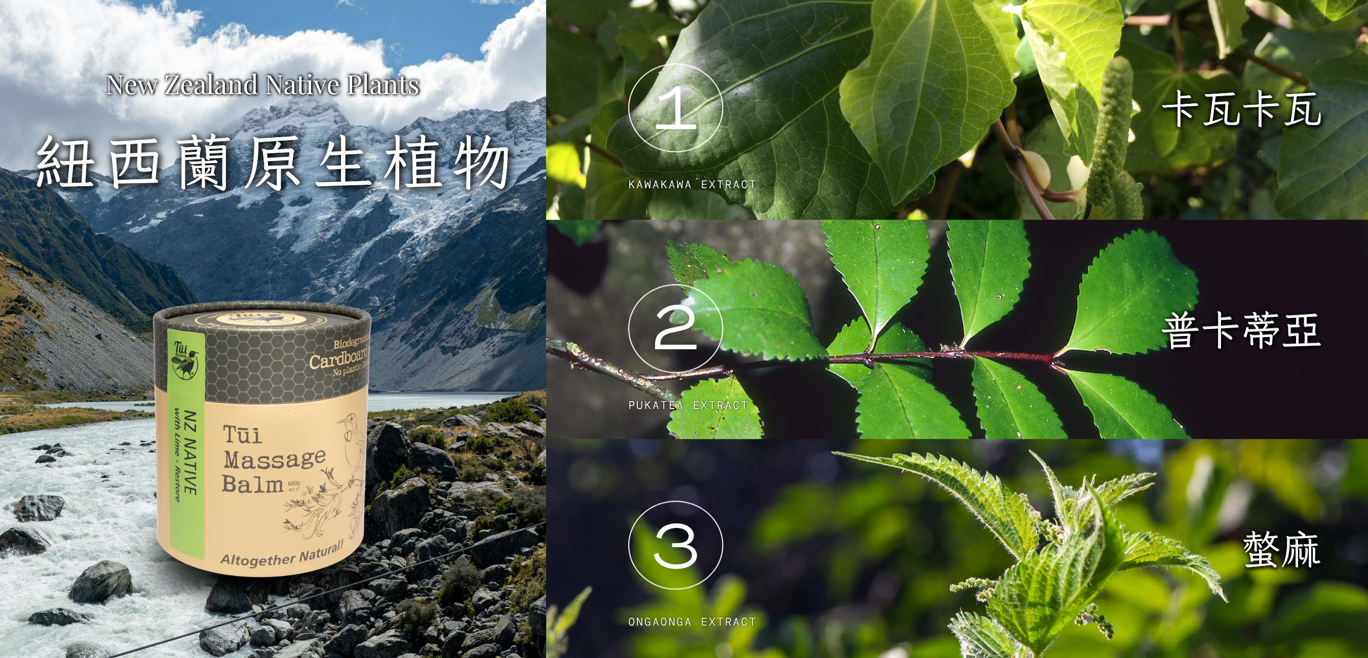 40g長圖 (1000 x 481 像素)-Coupang (1350 x 650 像素) (1000 x 481 像素) (1350 x 650 像素) (1000 x 481 像素) (1350 x 650 像素) (82)