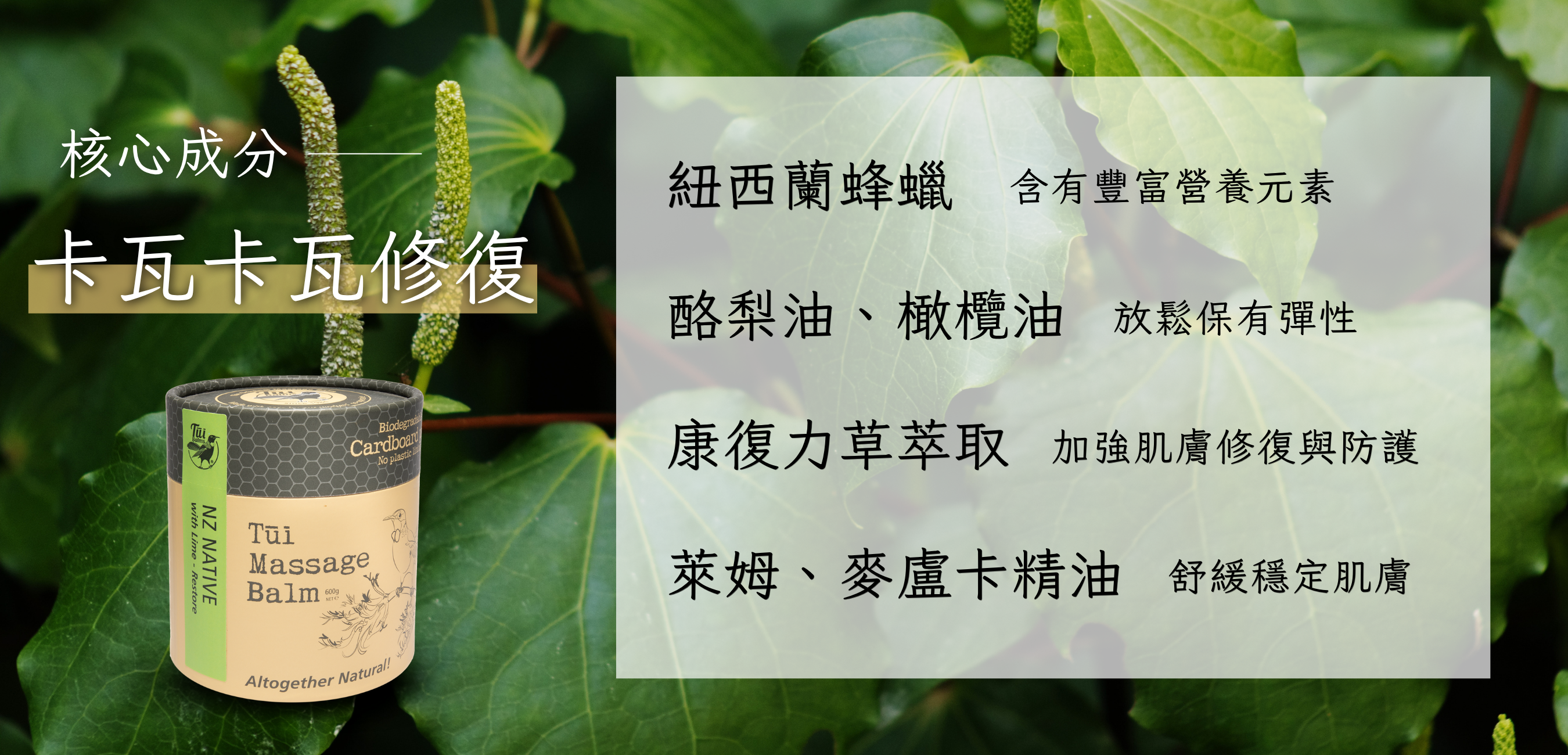 40g長圖 (1000 x 481 像素)-Coupang (1350 x 650 像素) (1000 x 481 像素) (1350 x 650 像素) (1000 x 481 像素) (1350 x 650 像素) (84)