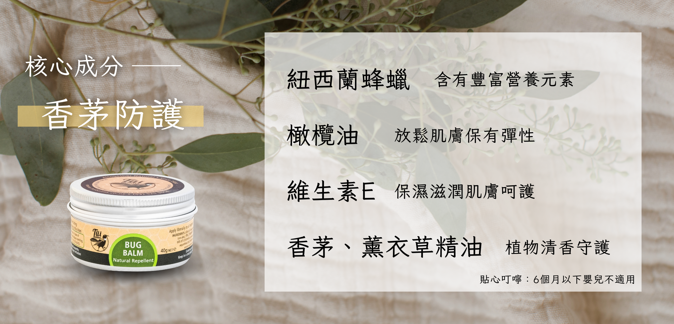 40g長圖 - 2026-04-27T152203.586