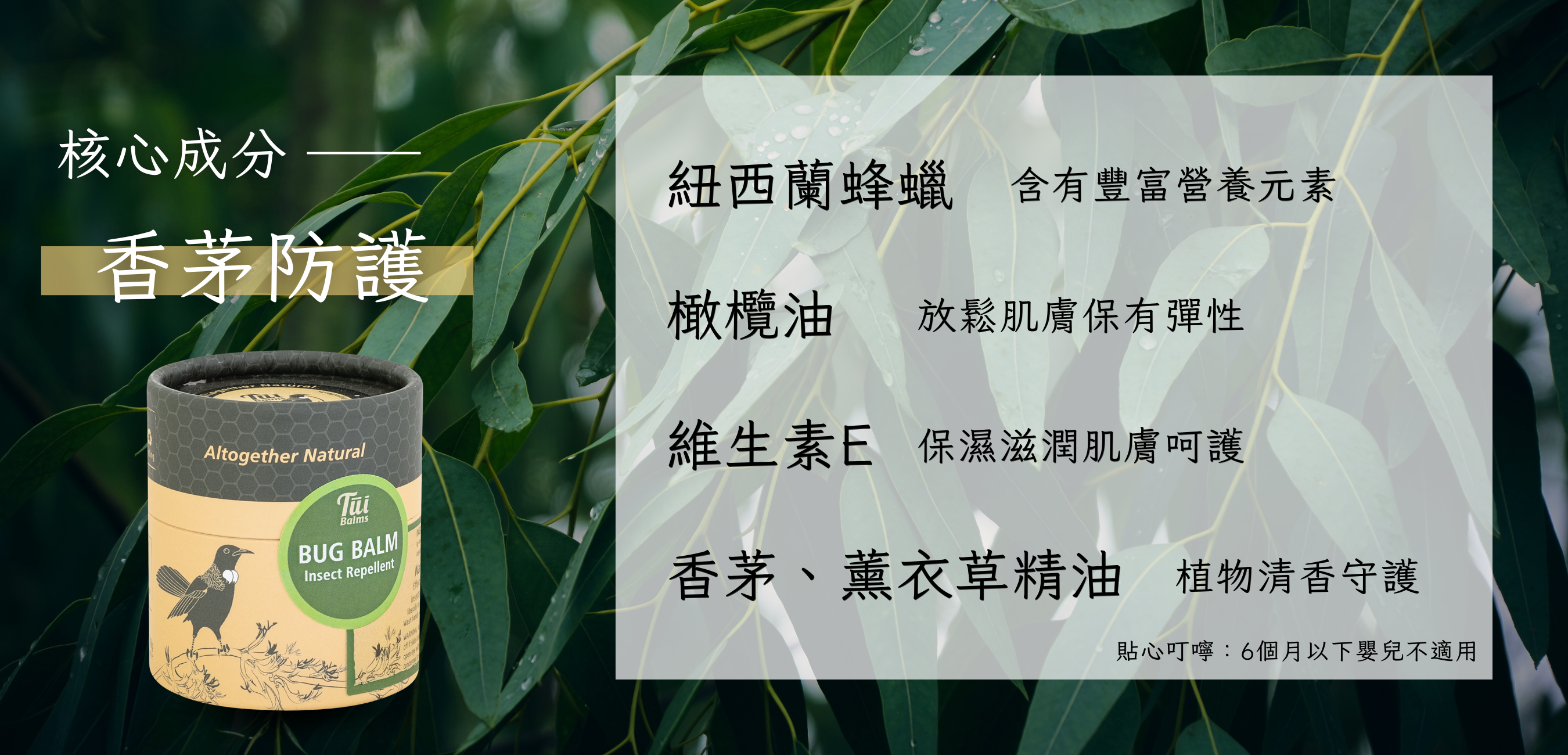 40g長圖 - 2026-04-27T152141.555