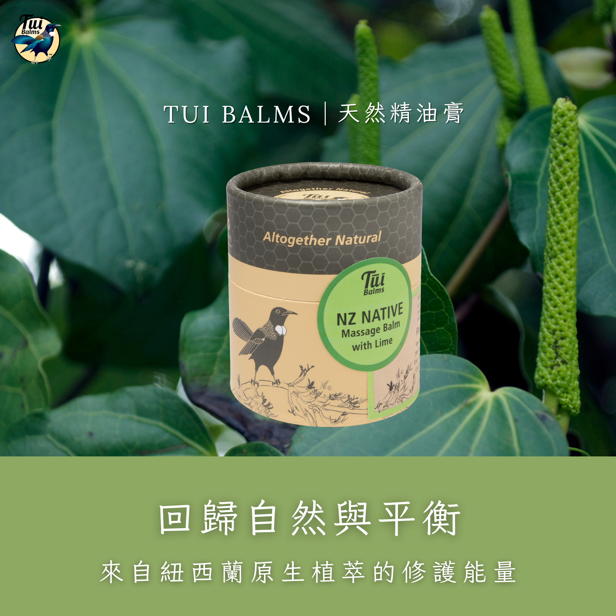 薰衣草250ml - 2026-04-15T113957.586