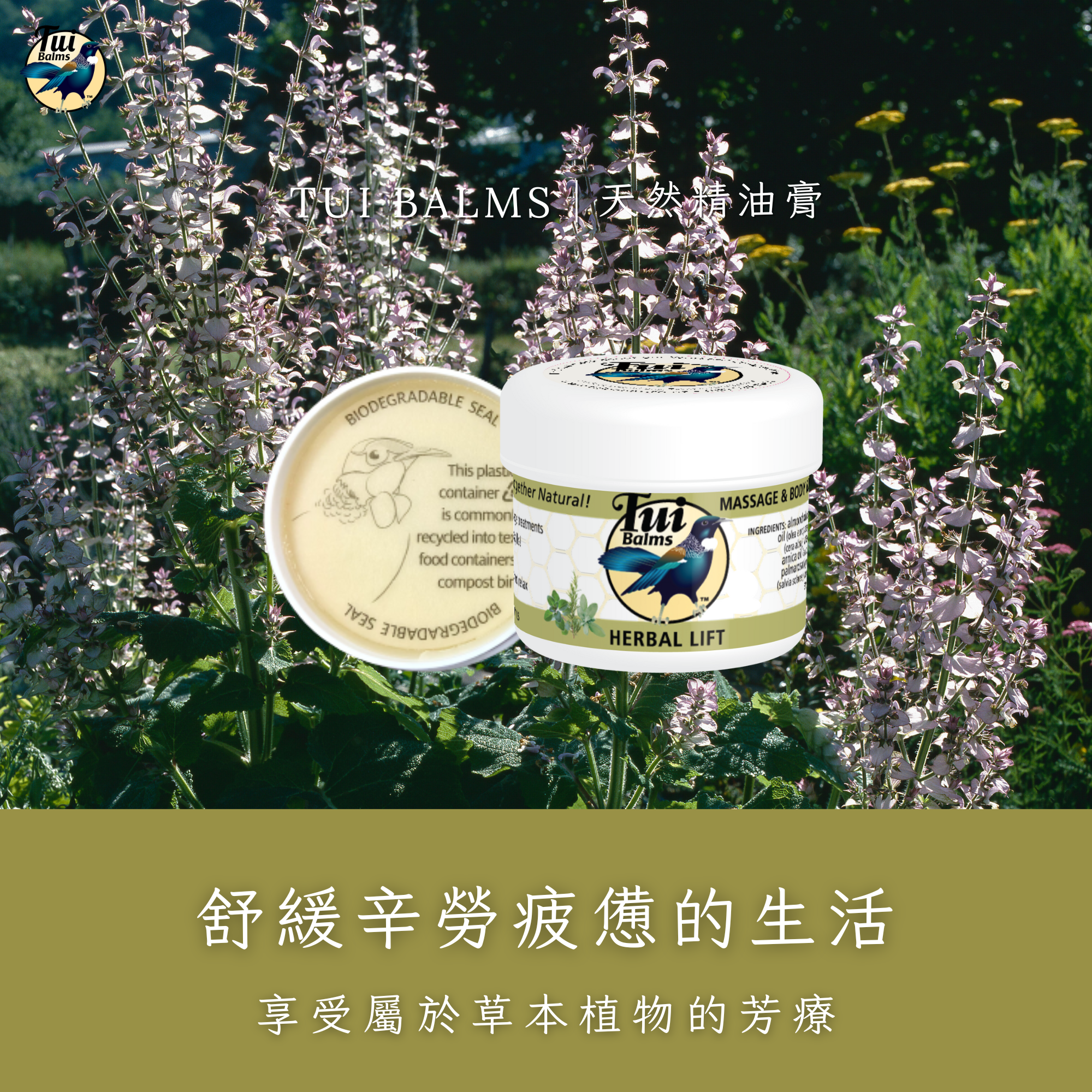薰衣草250ml (63)