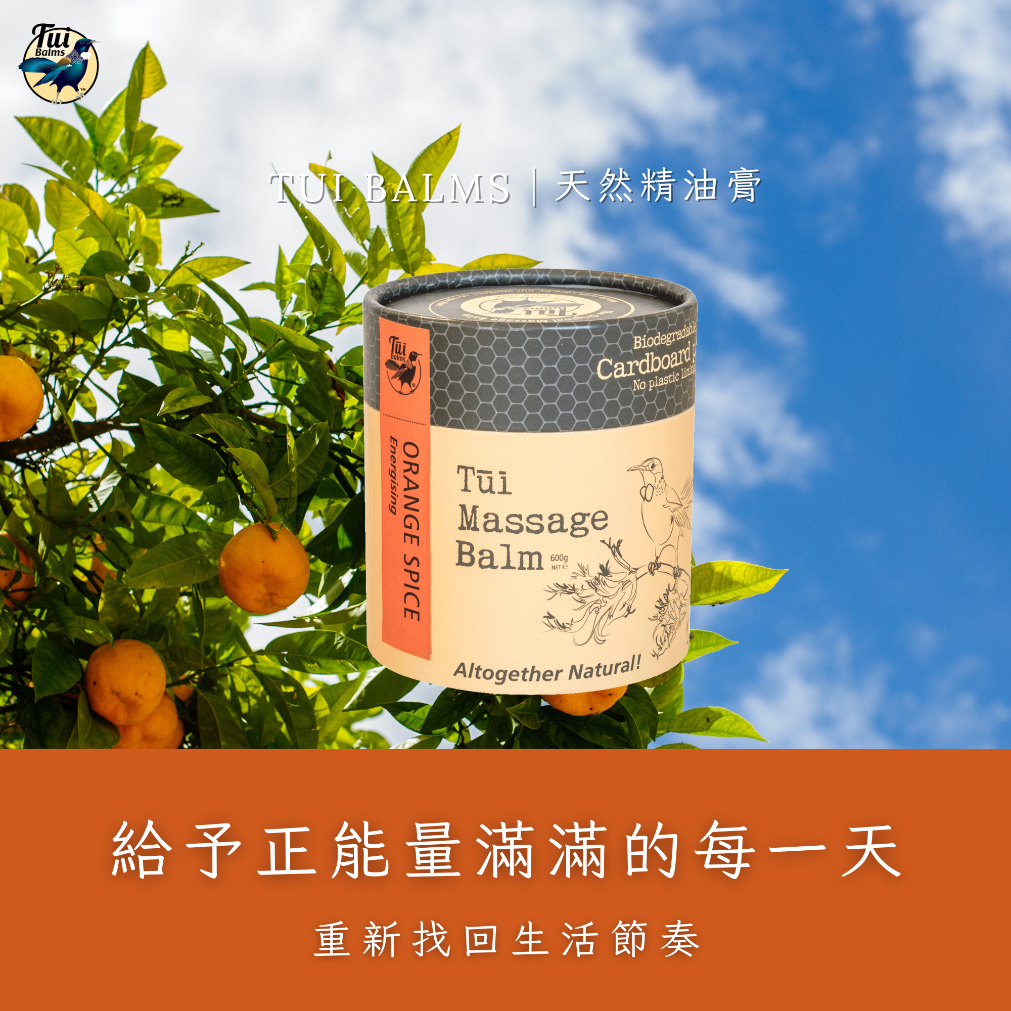 薰衣草250ml (96)