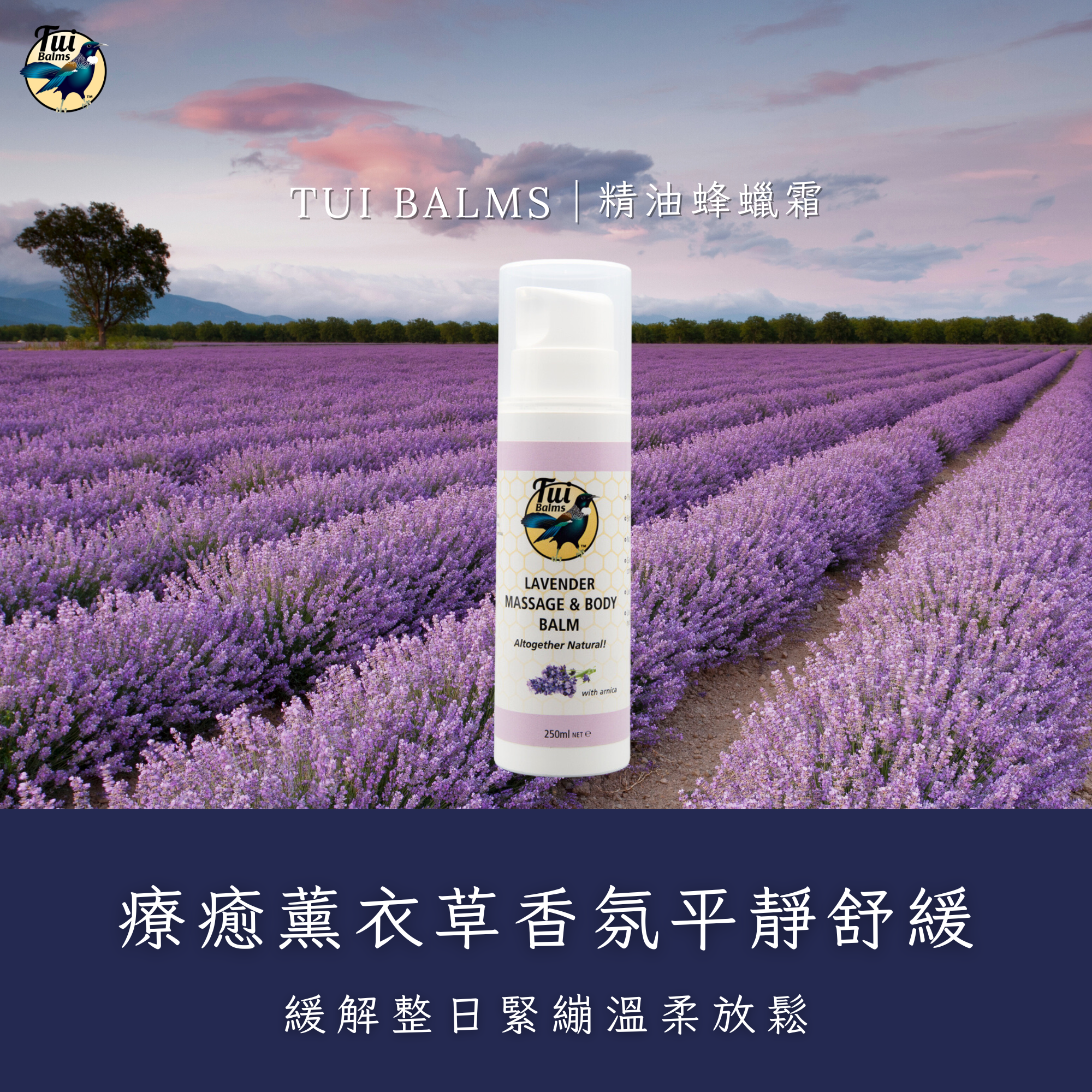 薰衣草250ml - 2025-03-12T113017.630