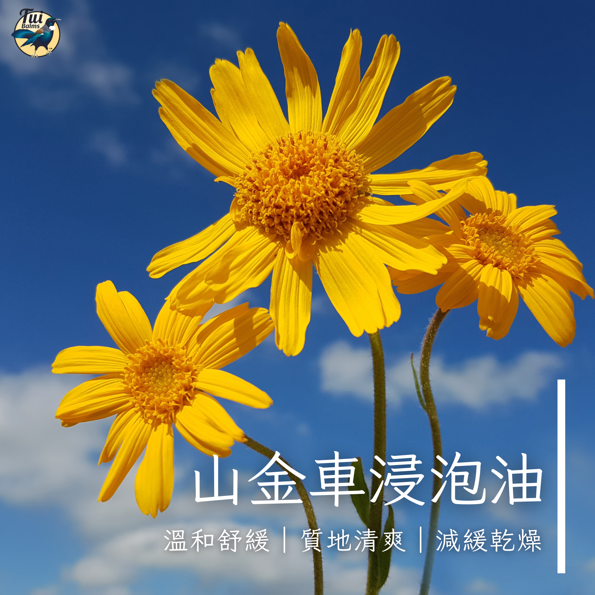 嬰兒保養 - 2025-03-12T101617.949