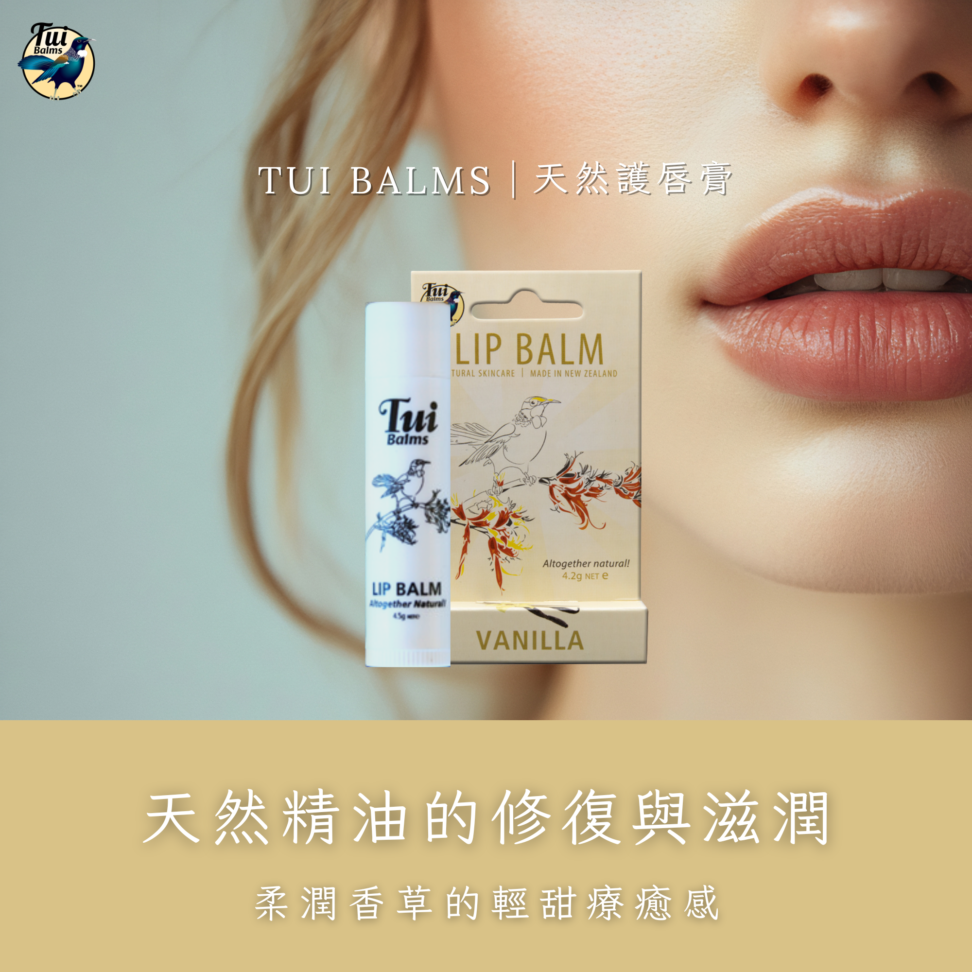 薰衣草250ml - 2025-09-09T095709.724