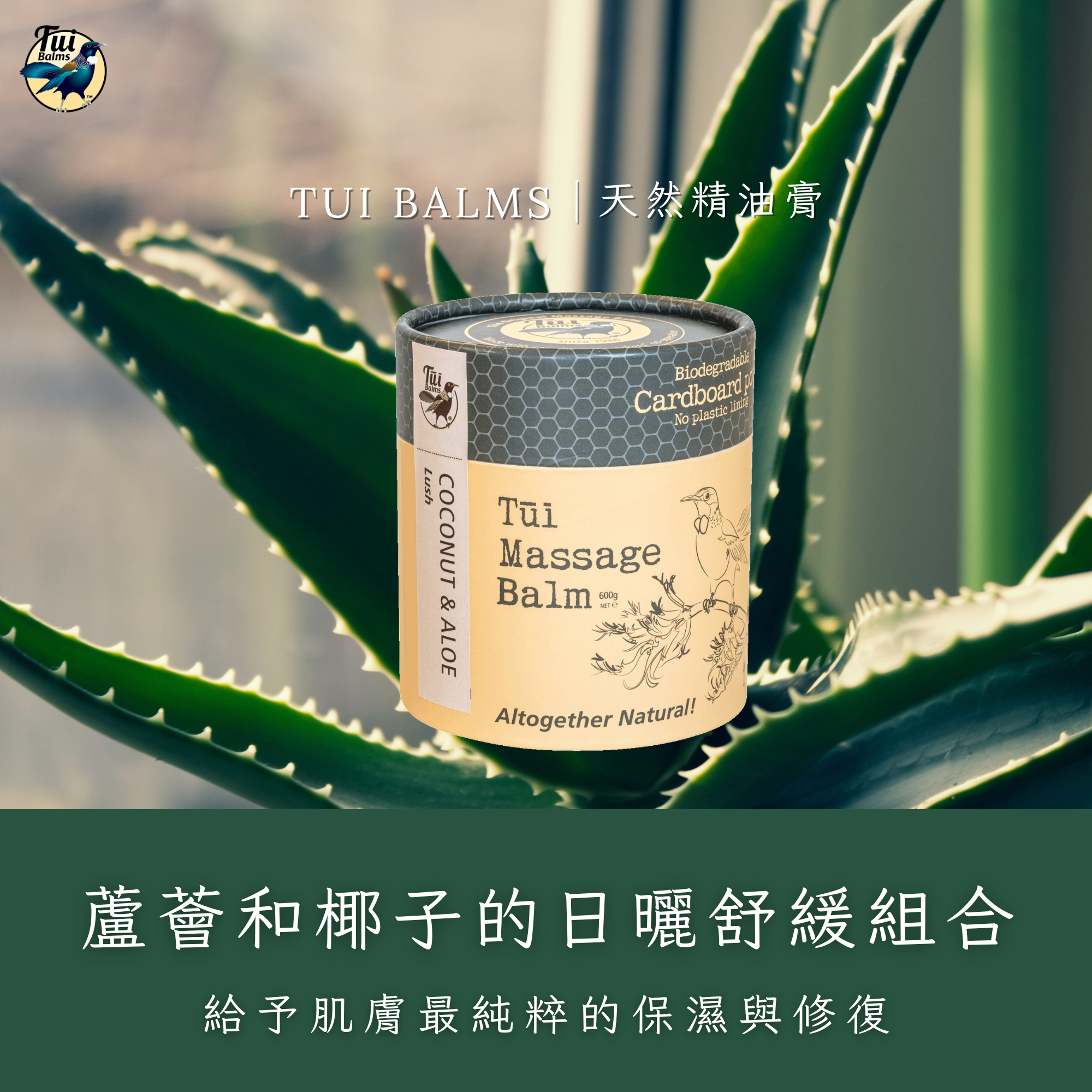 薰衣草250ml - 2026-01-02T144310.702